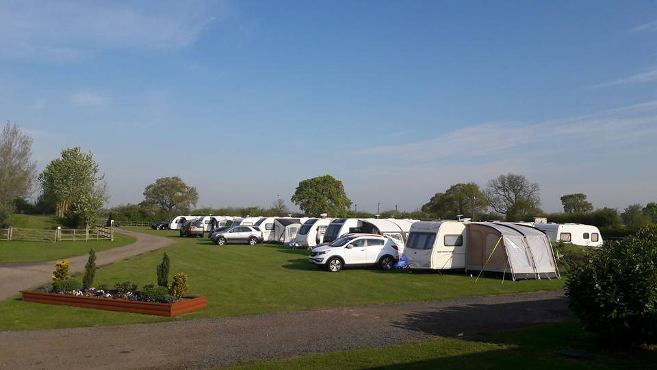 Grass pitch with electric